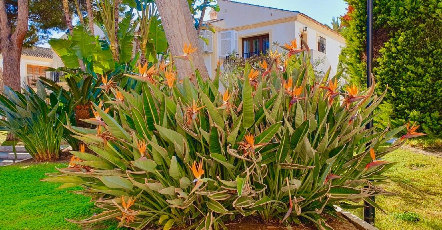 Casa Veranera Vera Costa Playas de Vera Экстерьер фото