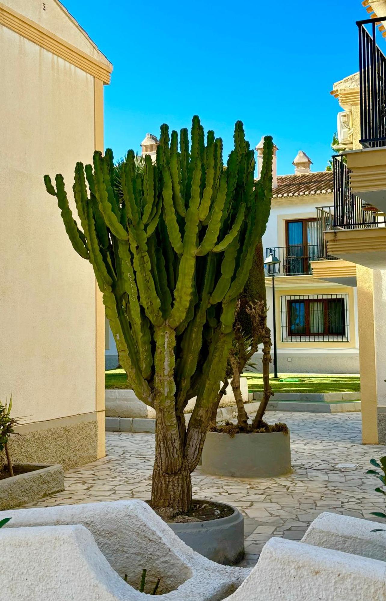 Casa Veranera Vera Costa Playas de Vera Экстерьер фото